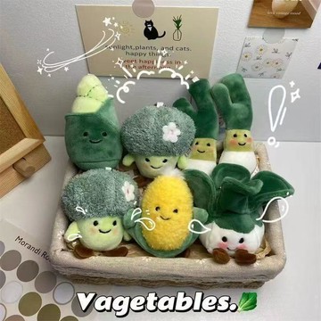 暢銷熱賣🔔花椰菜花束 花椰菜娃娃 鑰匙圈 毛絨玩偶 手捧花 送人禮物 蔬菜白菜玉米小衆高顏值掛件潮萌可愛創意學生情侶書