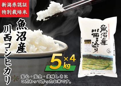 魚沼産川西こしひかり5kg×4　新潟県認証特別栽培米　令和５年度米