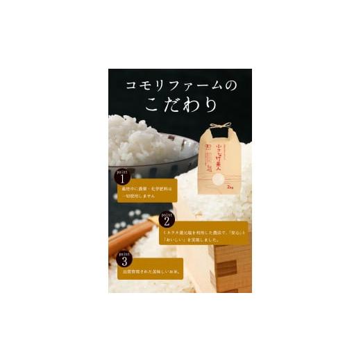 ふるさと納税 福岡県 小竹町 令和5年産 小さな竹美人 精米 2kg(2kg×1袋) 白米 株式会社コモリファーム《お申込み月の翌月から出荷開始》