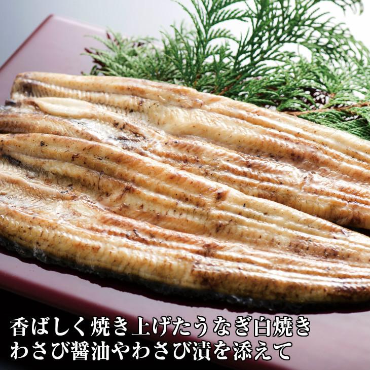 わさび漬け 根わさび 浜名湖産うなぎ白焼き2尾セット 送料無料 セット 父の日 お中元 土用の丑の日 ギフト うなぎ 鰻 お取り寄せ おうち グルメ プレゼント ギフ