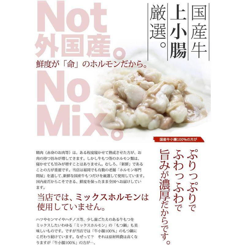 もつ鍋セット 博多発 醤油味 4?6人前 国産牛もつ600g ちゃんぽん麺・薬味付 ギフト可