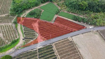 名間新街國小旁2.57分便宜平坦農地｜南投縣名間鄉新北段
