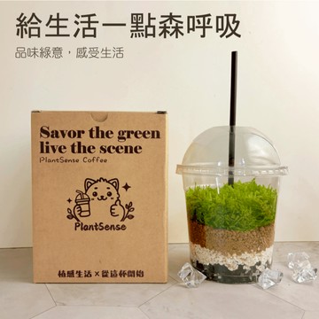 綠色拿鐵 | 給生活一點森呼吸 植物 苔蘚 生日禮物 情人節禮物 教師節 畢業禮物 擺飾 木頭方程式