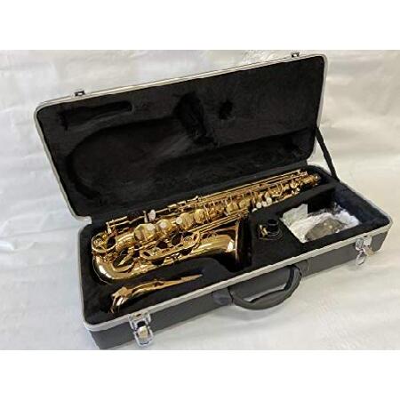 Professional Gold Alto Saxophone Brand New 並行輸入品