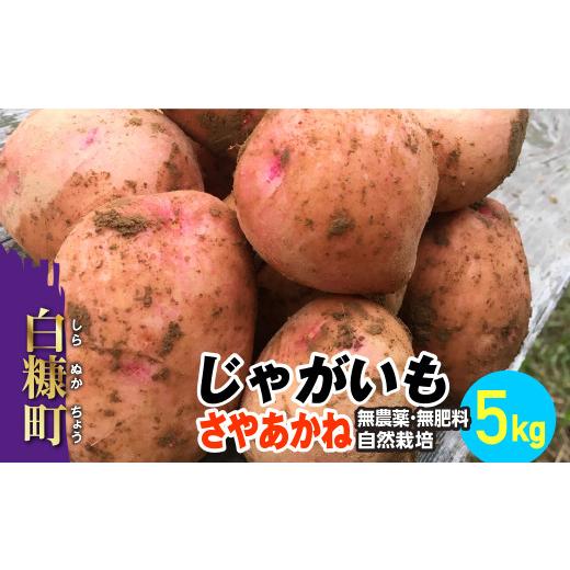 ふるさと納税 北海道 白糠町 じゃがいも（さやあかね）無農薬・無肥料・自然栽培・北海道産