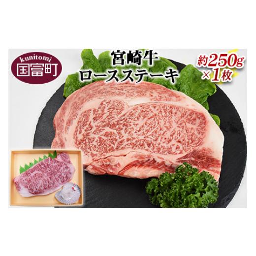 ふるさと納税 宮崎県 国富町 ＜宮崎牛ロースステーキ約250g＞翌月末迄に順次出荷