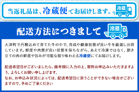 A5 A4 ランク 厳選 くまもと黒毛和牛 サーロインステーキ 1枚(250g-280g)《30日以内に順次出荷(土日祝除く)》 熊本県 大津町 和牛焼肉LIEBE くまもと黒毛和牛 サーロイン ステーキ 冷蔵 リーベ---so_cliebesir_30d_23_18000_250g---