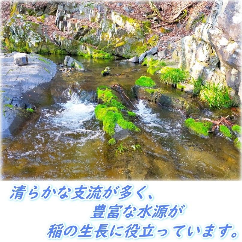 令和5年産 新米 宮城県産 ひとめぼれ 5kg×2 送料無料 10kg 米10kg 送料無 小分け