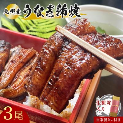 ふるさと納税 豊後高田市 志おや 九州産 うなぎ 蒲焼 3本(タレ付)