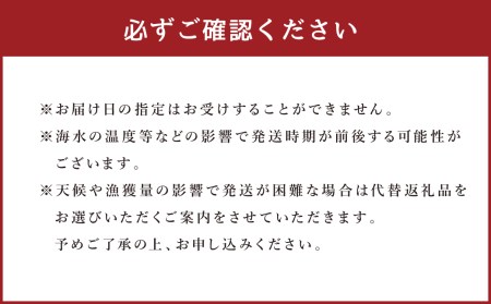 岩ガキ 合計約1.5kg（約150g×10個）加熱用 冷蔵 岩牡蠣