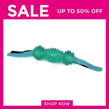 美國 Ourpets Flappy® 玩耍專家 Surf-N-Toss™ 薄荷QQ水陸玩具