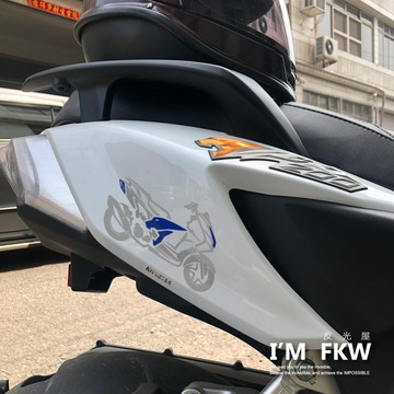 反光屋FKW 彪虎200 PGO TIGRA200 兩色可選擇 機車車型反光貼紙 防水車貼 獨家設計製作販售 機車車型貼