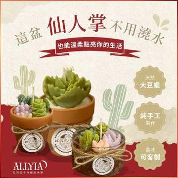 台北大同【艾莉婭手作療癒美學】多肉蠟燭玻璃球手作課程券《掌心裡的小宇宙》(MO)