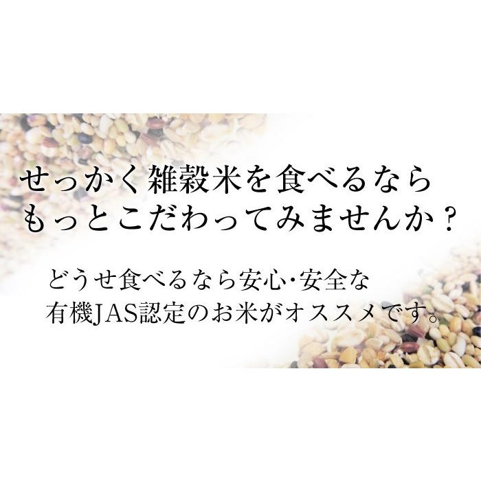 有機栽培 十穀豊穣 十穀米 ポイント消化 熊本県産 200g 有機JAS 安心 安全 雑穀米 お試し オーガニック 無農薬