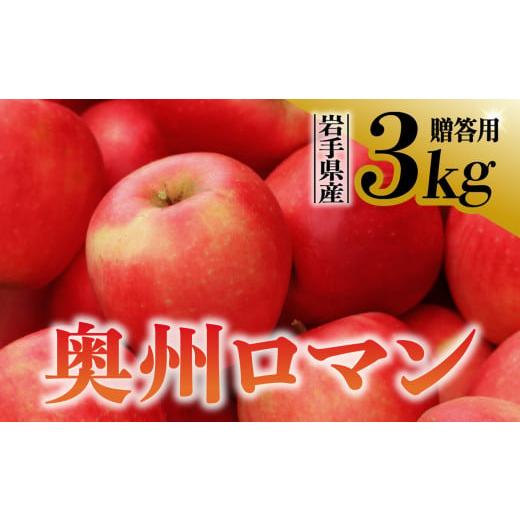 ふるさと納税 岩手県 金ケ崎町  りんご 奥州ロマン 贈答用 3kg 岩手県 金ケ崎町産 10月下旬発送予定