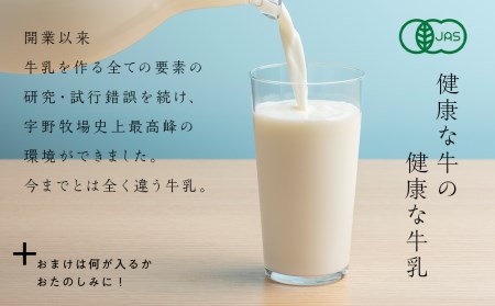  最高峰の牛乳 2本(900ml×2本) お楽しみ おまけ付き