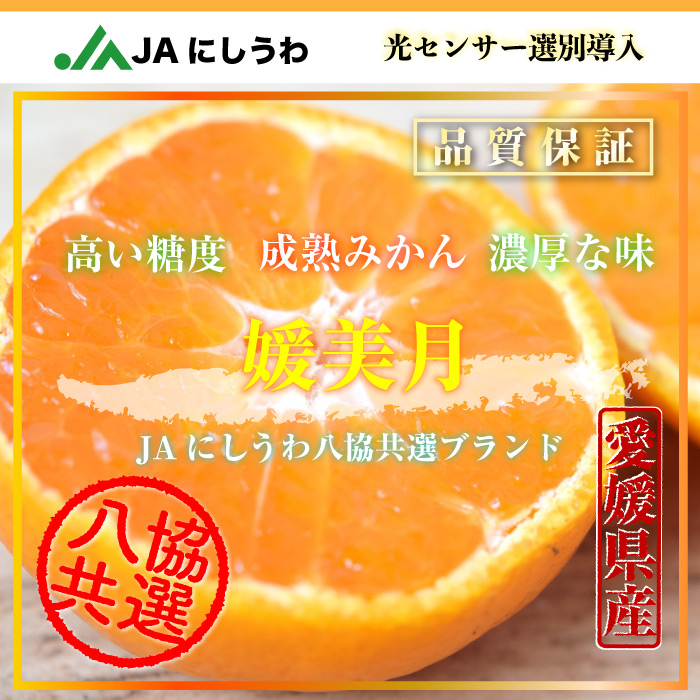 [予約 2023年 11月25日-12月15日の納品] 媛美月 約1kg 桐箱 愛媛県産 JAにしうわ八協共選 JA西宇和 ひめみづき みかん 高糖度　 冬ギフト お歳暮 御歳暮