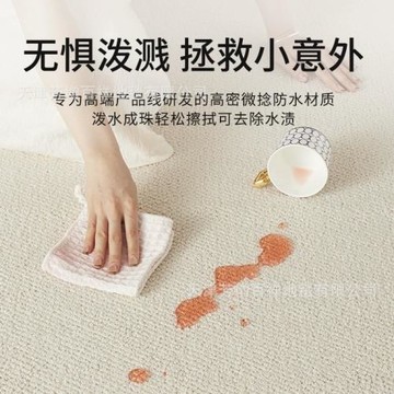 真防水防污客廳地毯可擦免洗法式高級感沙發茶幾白月光系列地毯墊