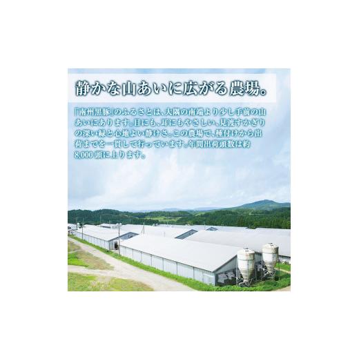 ふるさと納税 鹿児島県 鹿屋市 1395 南州農場　鹿児島黒豚ロース味噌漬け詰合せ 計600g