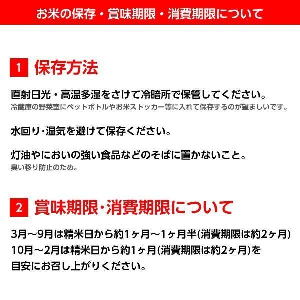 新米 令和5年産 福島県 中通産 ひとめぼれ 精白米 30kg (5kg×6袋) 小分け JGAP