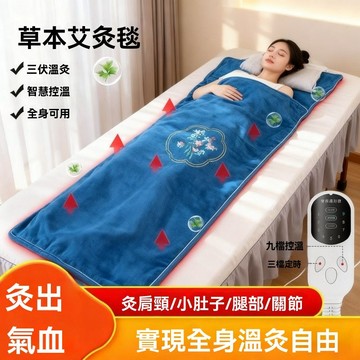 批發艾灸毯坐墊祛濕電熱毯加大正品高檔艾草電加熱艾絨理療毯熱敷
