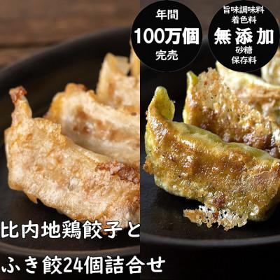 ふるさと納税 秋田市 年間100万個完売!餃子の餃天の