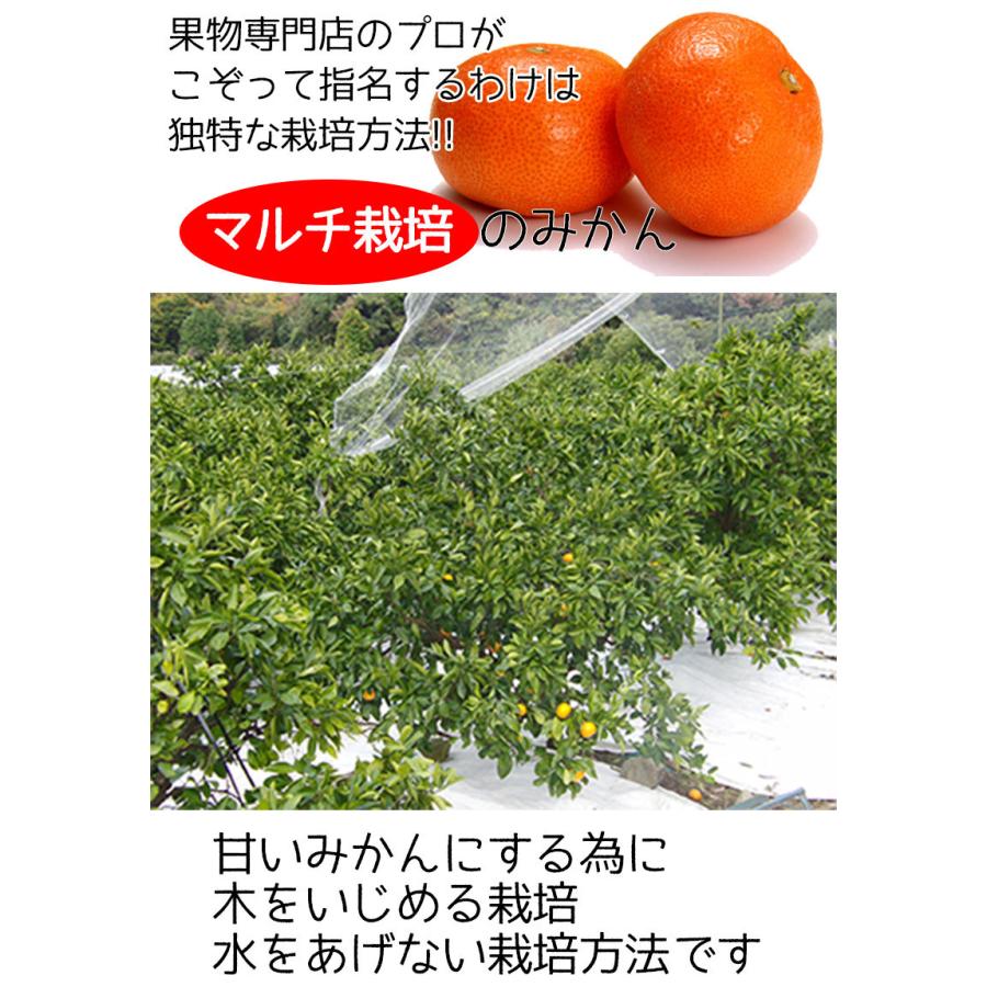 みかん 訳あり 5Kg 小玉 送料無料 ご家庭用 和歌山県 有田みかん 山鷹みかん Sサイズ 5Kg ギフト