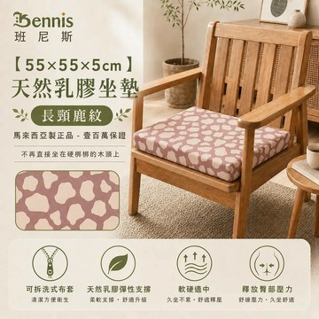 55x55x5cm 天然乳膠正方大坐墊~(適用實木組椅)，超取限兩張！/班尼斯國際名床