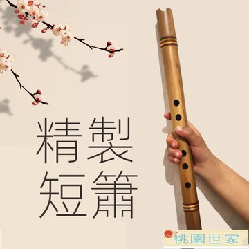 免運 長笛 豎笛 笛子 蕭樂器零基礎迷你短簫初學學生自學入門CD調F調古蕭六孔古風簫笛