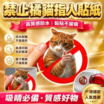 貓咪可愛搞笑迷因表情車貼 實習MEME汽車貼紙 裝飾 創意反光 新手