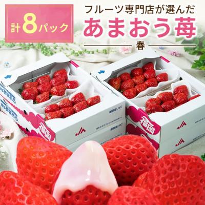 ふるさと納税 遠賀町 福岡産春あまおう8パック(遠賀町)