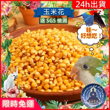 【寵物覺醒24h出貨】【SGS檢測】天然玉米花飼料小寵零食穀物果乾兔子倉鼠黃金鼠三線鼠老公公鼠一線鼠蜜袋鼯鸚鵡飼料倉鼠飼
