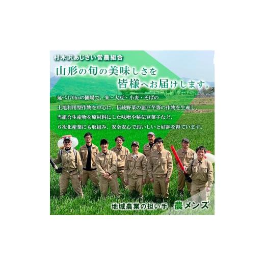 ふるさと納税 山形県 山形市 [令和5年産]山形市村木沢産はえぬき(玄米) 5kg×2 FY19-318