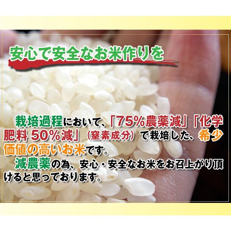 お米 10kg（5kg×2袋）白米 玄米 ほむすめ舞 一等米 分づき可能 特別栽培米 令和4年産米