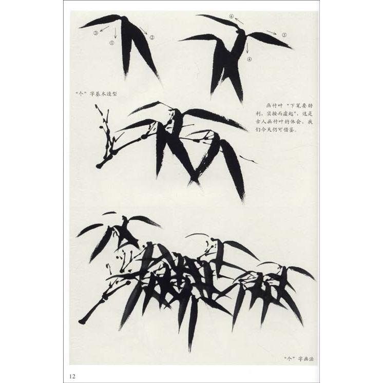 写意花鳥　竹　中国画入門訓練新編　中国絵画 写意花#40479;篇　竹　国画入#38376;#35757;#32451;新#32534;