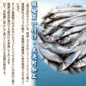 ししゃも雄雌食べ比べ 2ｋｇ セット 訳アリ シシャモ ししゃも カラフトししゃも 大洗 規格外 訳あり わけあり 傷_AV013