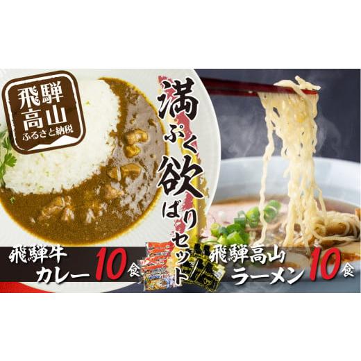 ふるさと納税 岐阜県 高山市 飛騨牛カレー（160ｇ×10袋）と飛騨高山ラーメン（2食入×5袋で10食）  加工品 加工食品 訳あり 簡易包装  カレー ラーメン   ふ…