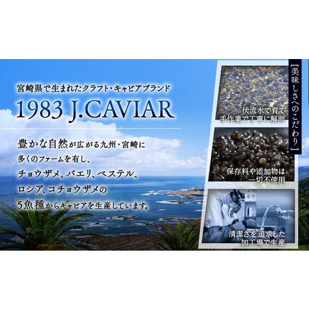 ふるさと納税 1983 SUSHI CAVIAR (20g) 宮崎県宮崎市