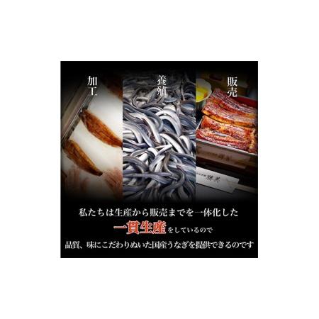 ふるさと納税 訳あり 国産 きざみうなぎ 450g(90g×5 タレ75ml×1・山椒付) 浜名湖産 ウナギ カット お歳暮 静岡県浜松市