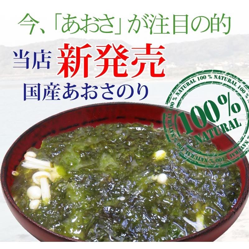 アオサ あおさのり 15g×1袋 九州産 乾燥 メール便限定 送料無料 マグネシウム