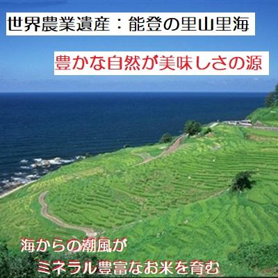 無洗米 コシヒカリ 令和5年新米 ：残留農薬ゼロ １K 特別栽培棚田米 ：お試し品