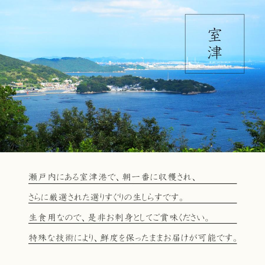 しらす 国産 生食用 500g (100g×5) お刺身 兵庫県産 小分け 無添加 無着色 刺身