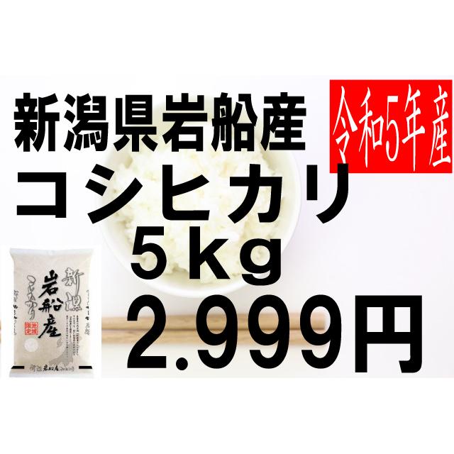 米　令和5年度産　新潟県　岩船産　コシヒカリ 5kg