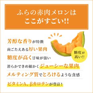 ふるさと納税 ふらの 赤肉メロン 厳選 甘味 Mサイズ 1.35kg〜1.6kg 6玉 セット ファーム富良野 メロン めろん 富良野メロン .. 北海道上富良野町