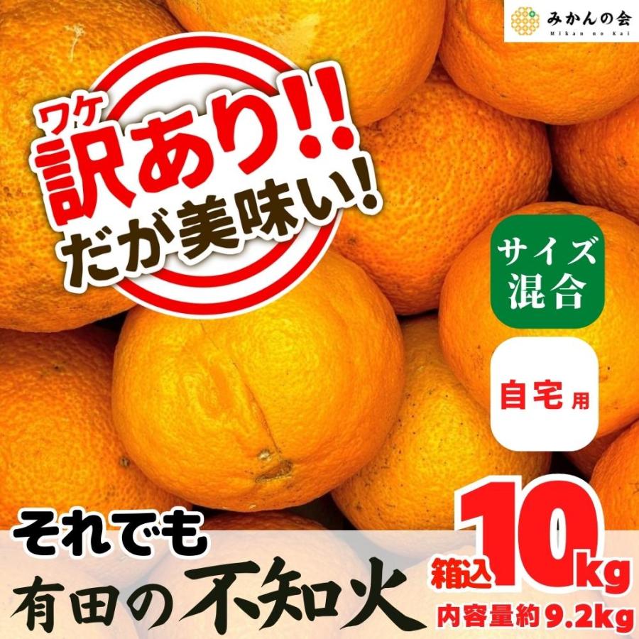 訳あり それでも 不知火 (しらぬい) 箱込 10kg (内容量約9.2kg) サイズミックス 和歌山県産 産地直送 