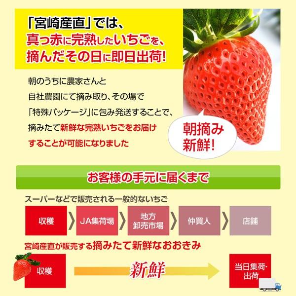 宮崎県産 大粒いちご1パック380g以上(1粒あたり40g以上) 日付指定不可 いちご イチゴ 苺