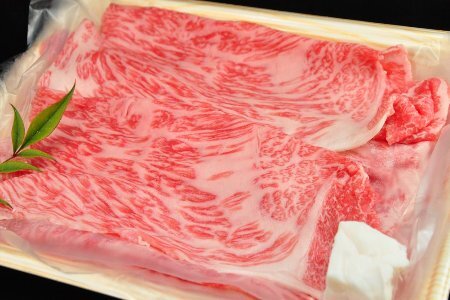 飛騨牛サーロイン・ももすき焼きセット 各450g  牛肉 国産 ブランド牛 和牛 A5