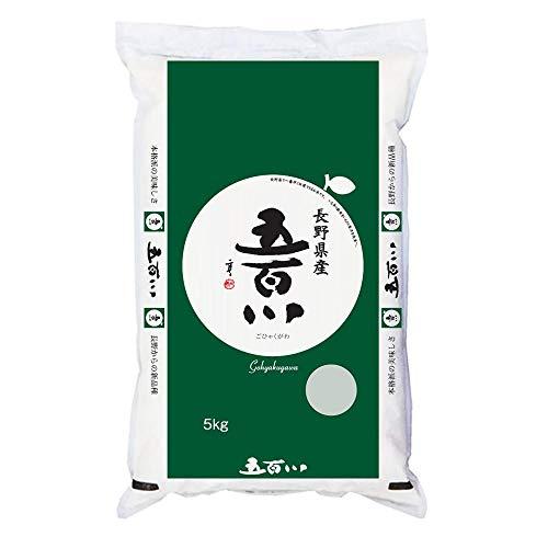 長野県上伊那産 白米 長野県で一番早くて旨い 五百川 5kgx4袋 令和5年産 新米