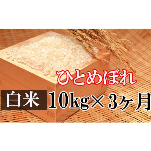 ふるさと納税 岩手県 八幡平市  精米 10kg （3ヶ月定期便） ／ 新米 白米 産地直送 