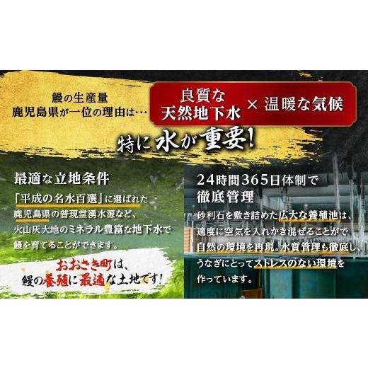 ふるさと納税 鹿児島県 大崎町 おおさきうなぎ鹿児島県産うなぎ長蒲焼4尾（全3回）合計12尾